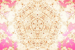 Mandala-render-00026-scaled