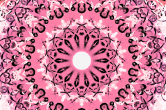 cropped-manda_13_71-1