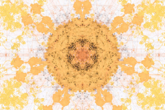 mandala-nice-11-scaled