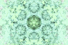 mandala-nice-4-scaled